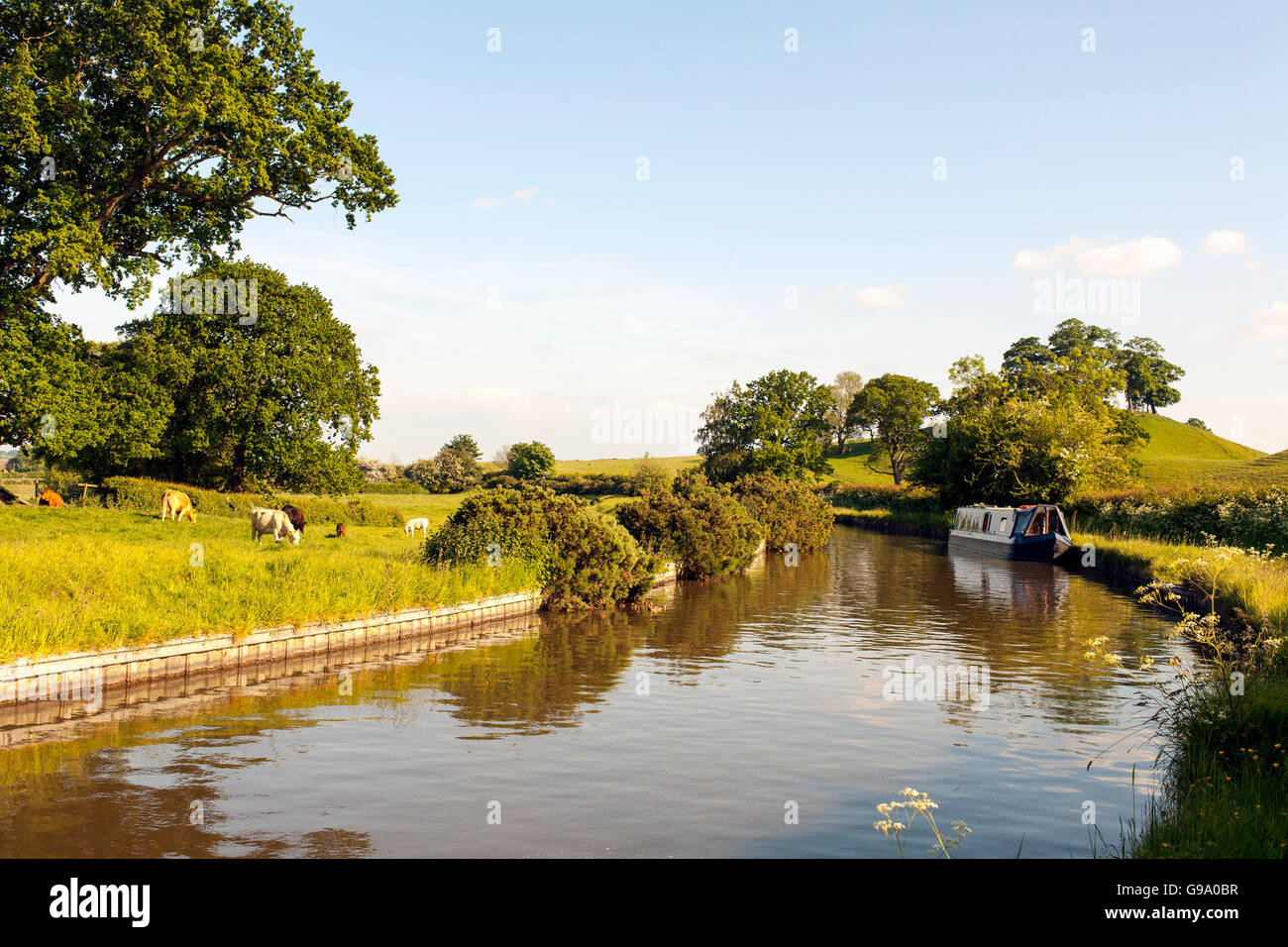 The Llangollen Canal Stock Photo Alamy