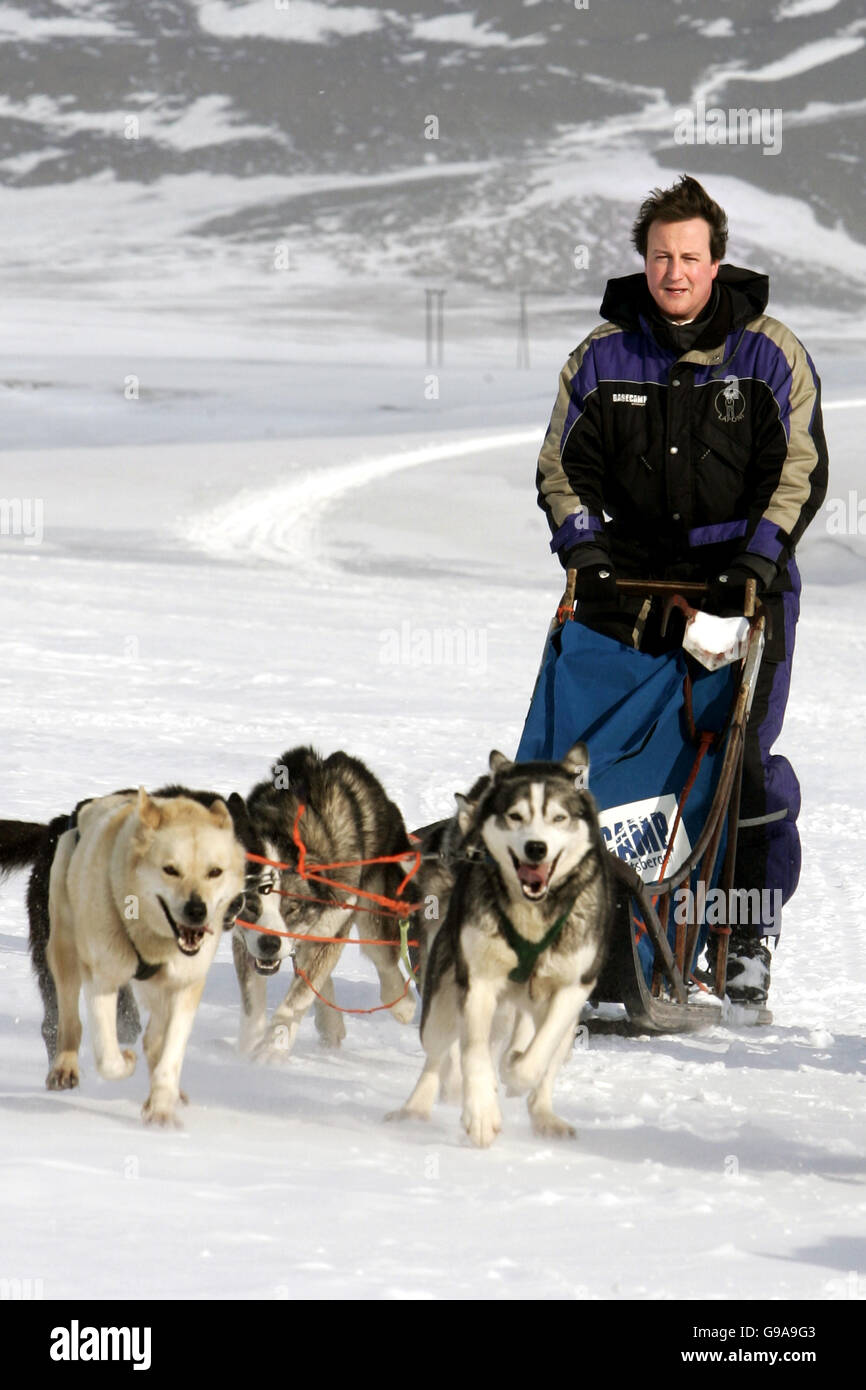 Leader of the Conservative Party David Cameron driving a Dog-sled on his way to the Scott-Turner glacier on the island of Svalbard, Norway. Stock Photo