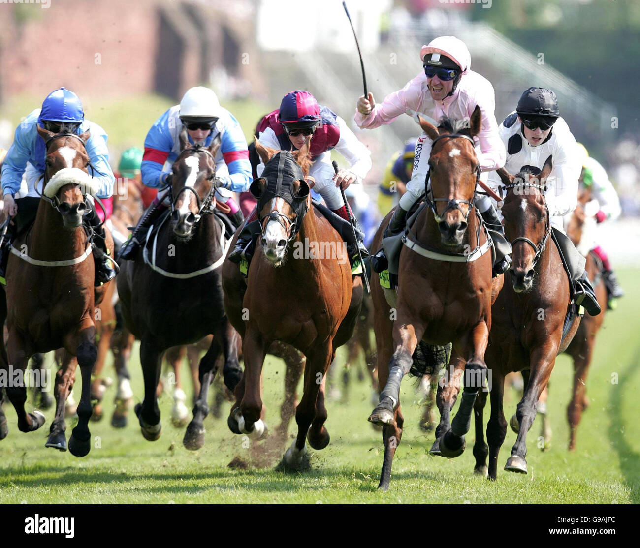 Admiral ridden by jockey John Egan (wearing pink) wins the Totesport Chester Cup at Chester racecourse, Chester. Stock Photo