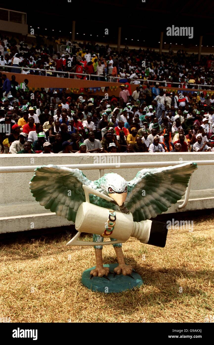 Soccer - African Nations Cup - Final - Nigeria v Cameroon Stock Photo