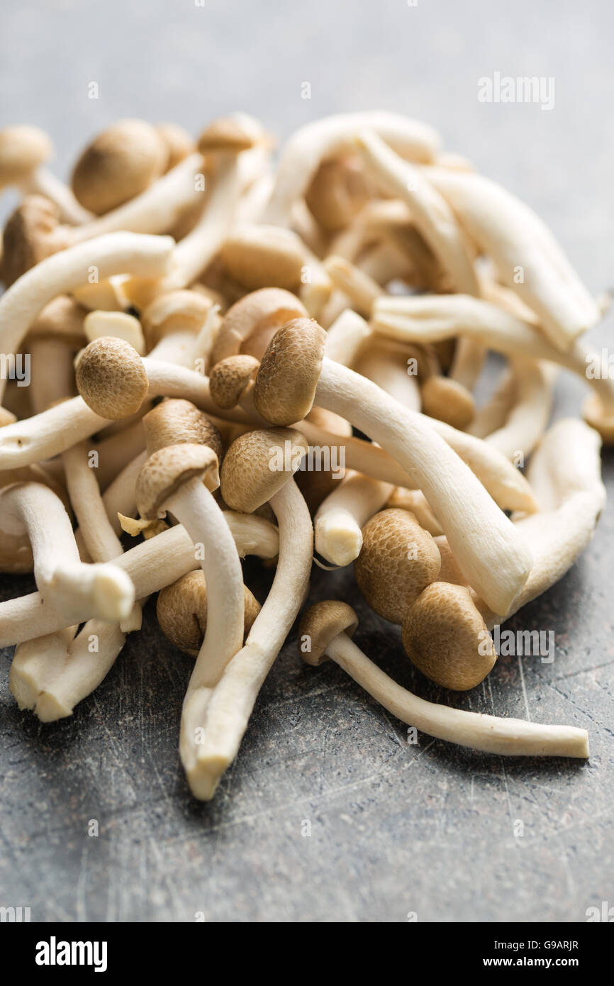 Brown shimeji mushrooms. Healthy superfood on crackle kitchen table