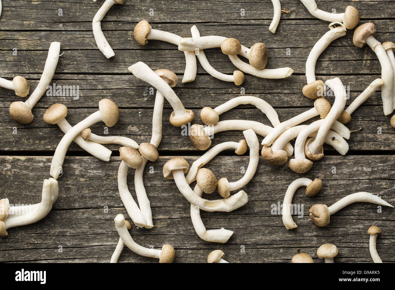 Brown shimeji mushrooms. Healthy superfood on old wooden table Stock