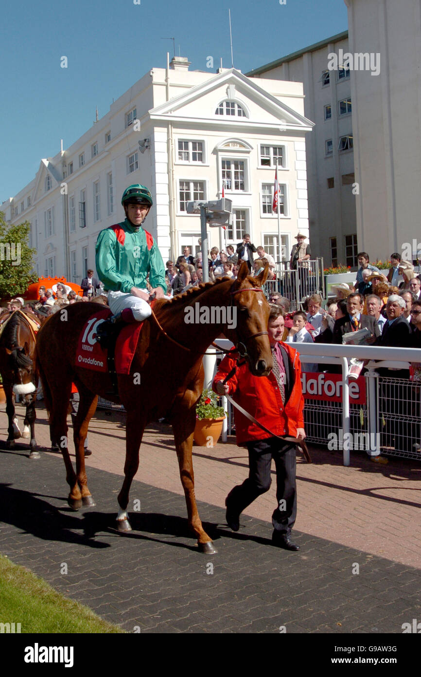 General view of the parade ring at epsom downs racecourse hi-res stock ...