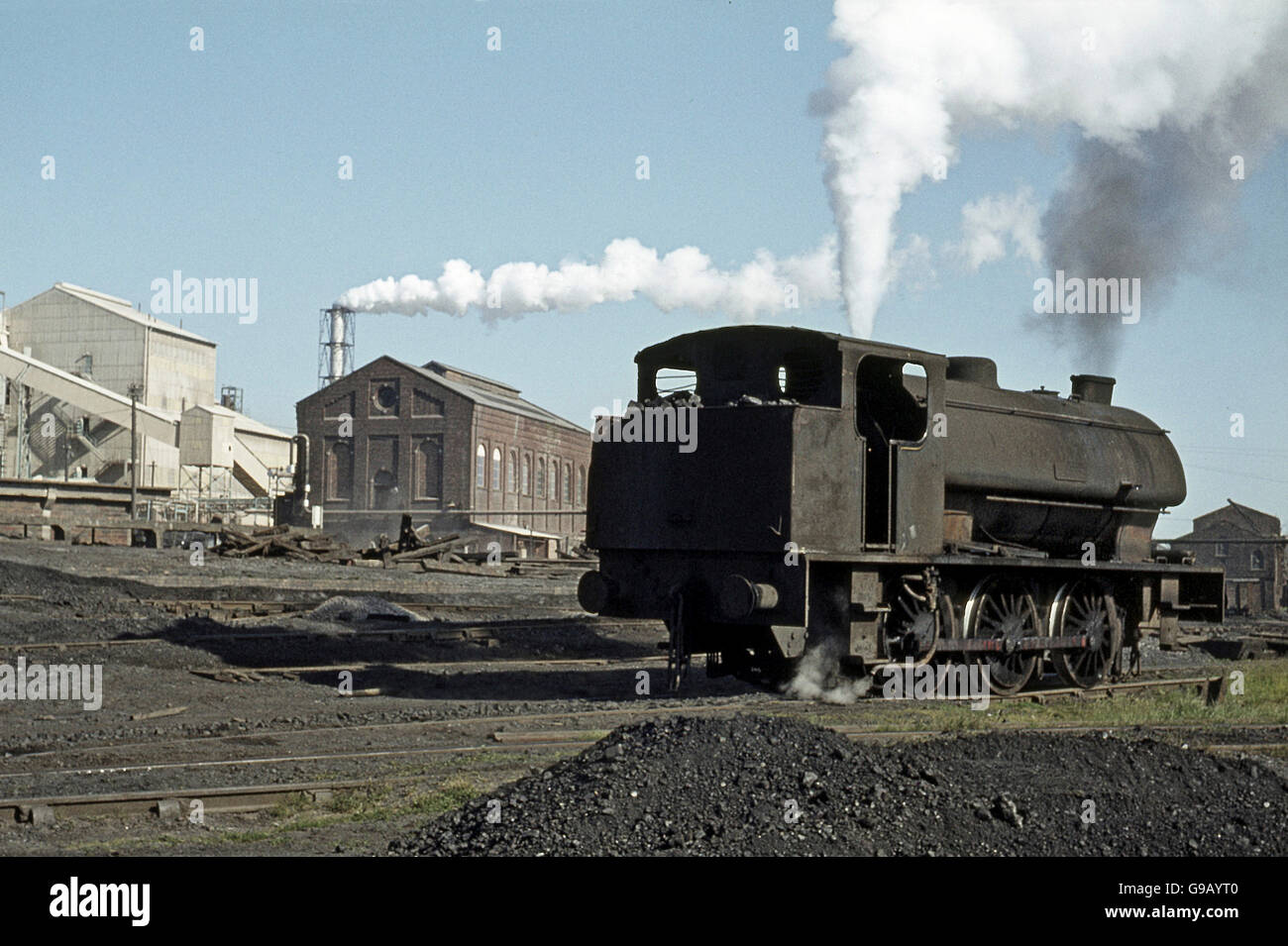 Hunslet Austerities with Giesl chimneys at work on the Cumberland coalfield. Stock Photo