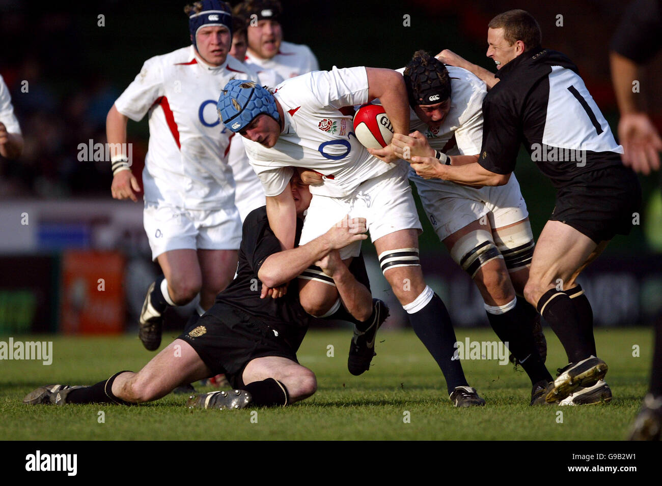 Honetbean Rugby Player Matthew Honeyben Rugby