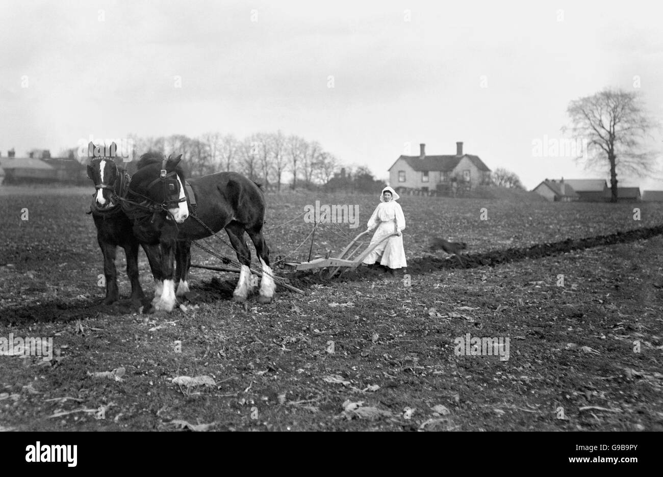 Black hall farm Black and White Stock Photos & Images Alamy