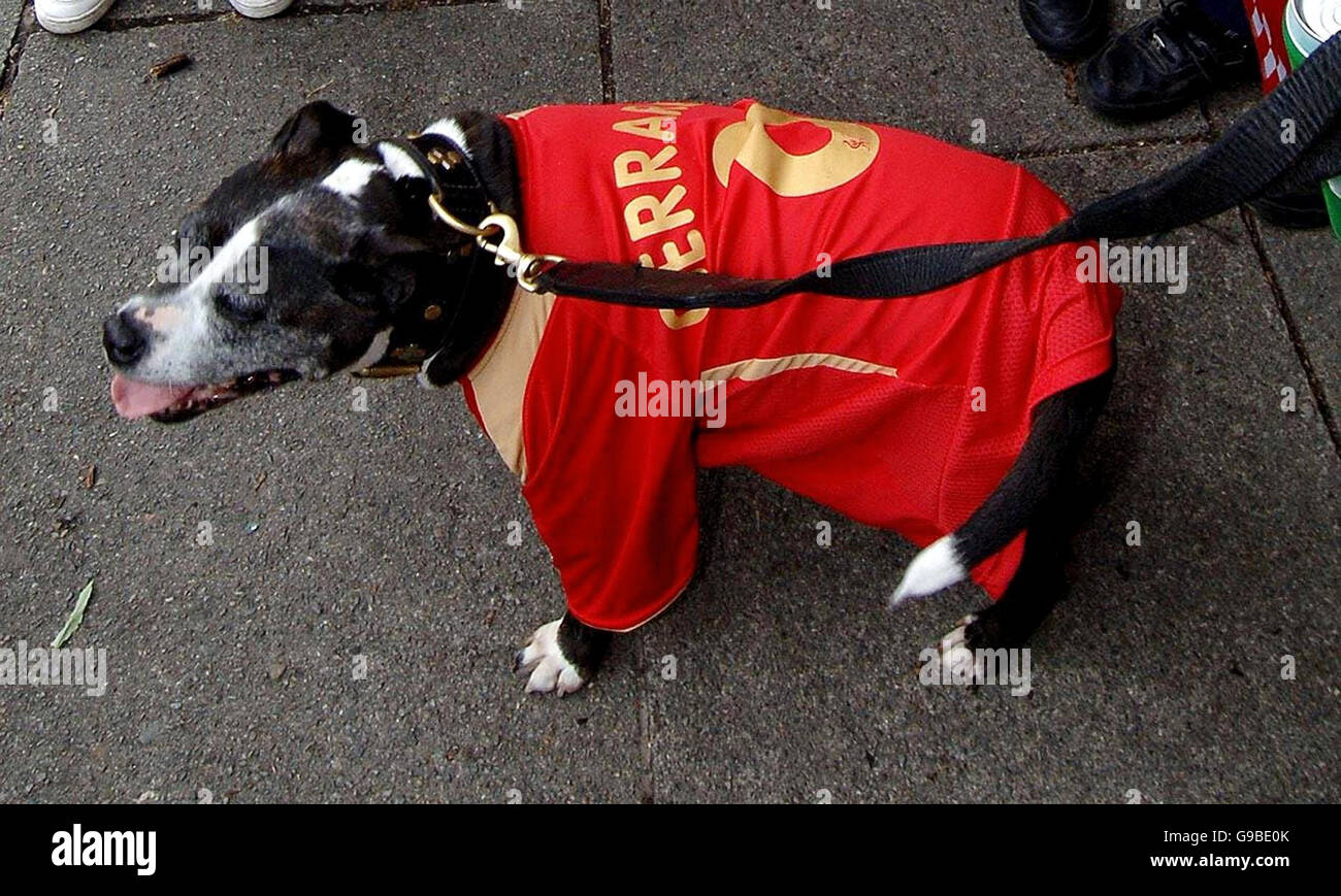 SOCCER Parade Liverpool. A Liverpool fan dresses his dog with Steven Gerrard's number during the FA Cup victory parade in Liverpool. Stock Photo