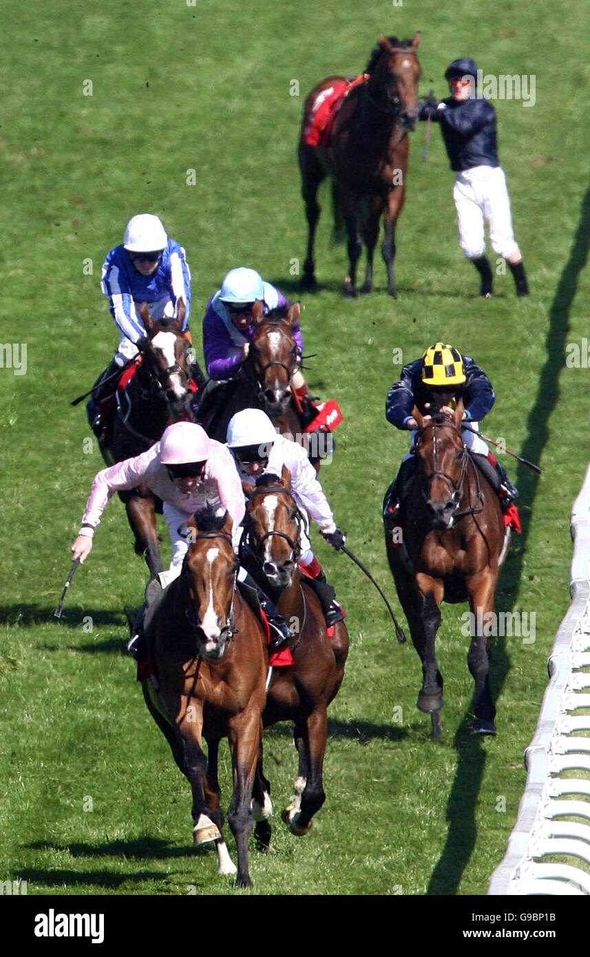 Sir Percy and jockey Martin Dwyer (right) and Dylan Thomas and jockey Johnny Murtagh (left) race up the hill towards the finish line as Kieren Fallon and Horatio Nelson are pulled up in the background during the 2006 Vodafone Derby at Epsom. Stock Photo