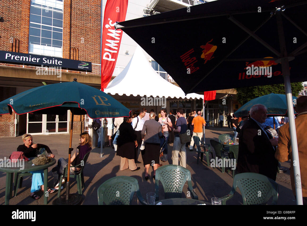 Horse Racing Rock at the Races featuring Starsailor Kempton Park