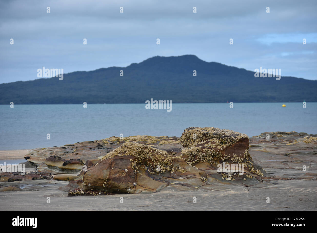 Takapuna on the beach hires stock photography and images Alamy