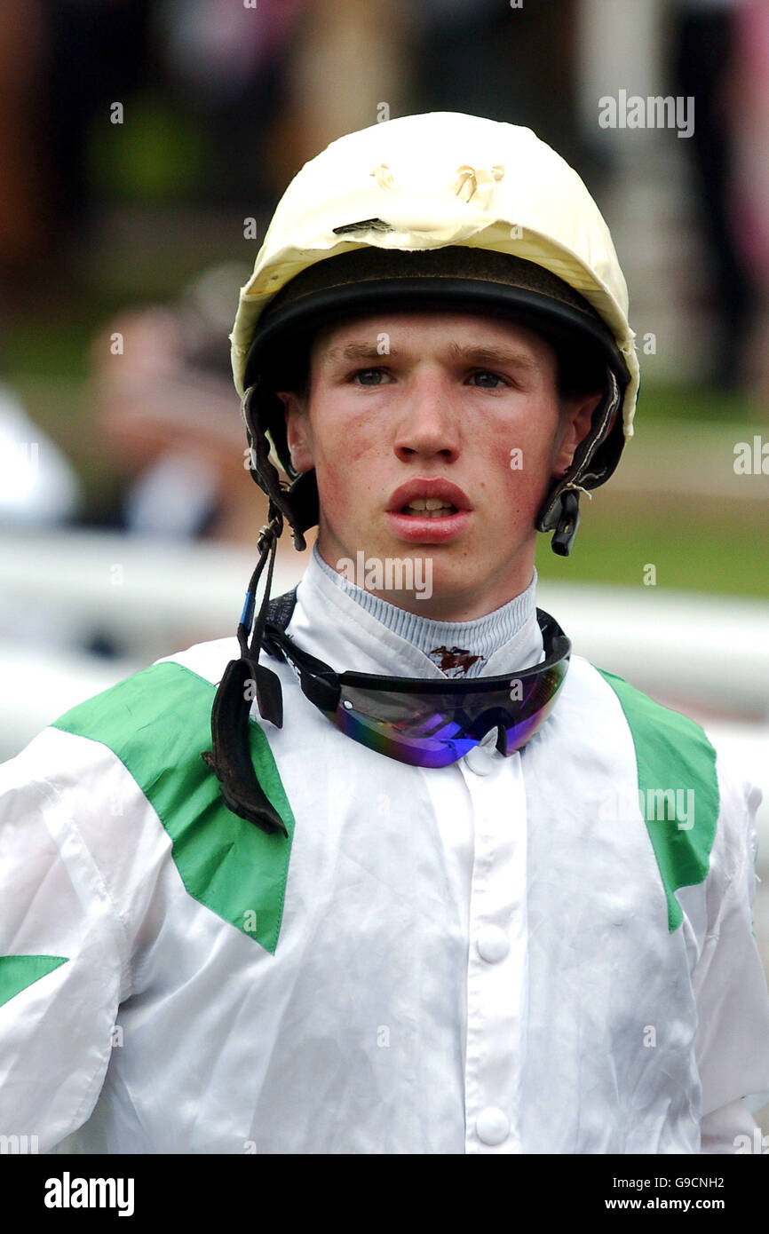 Horse Racing - The 36th Timeform Charity Day - York Racecourse Stock Photo