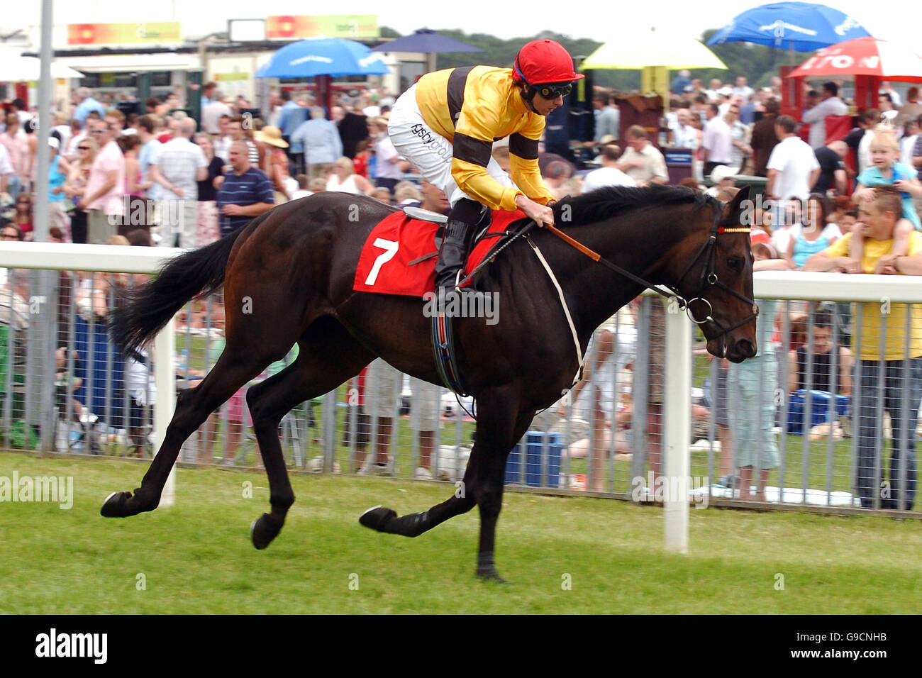 Horse Racing - The 36th Timeform Charity Day - York Racecourse Stock Photo