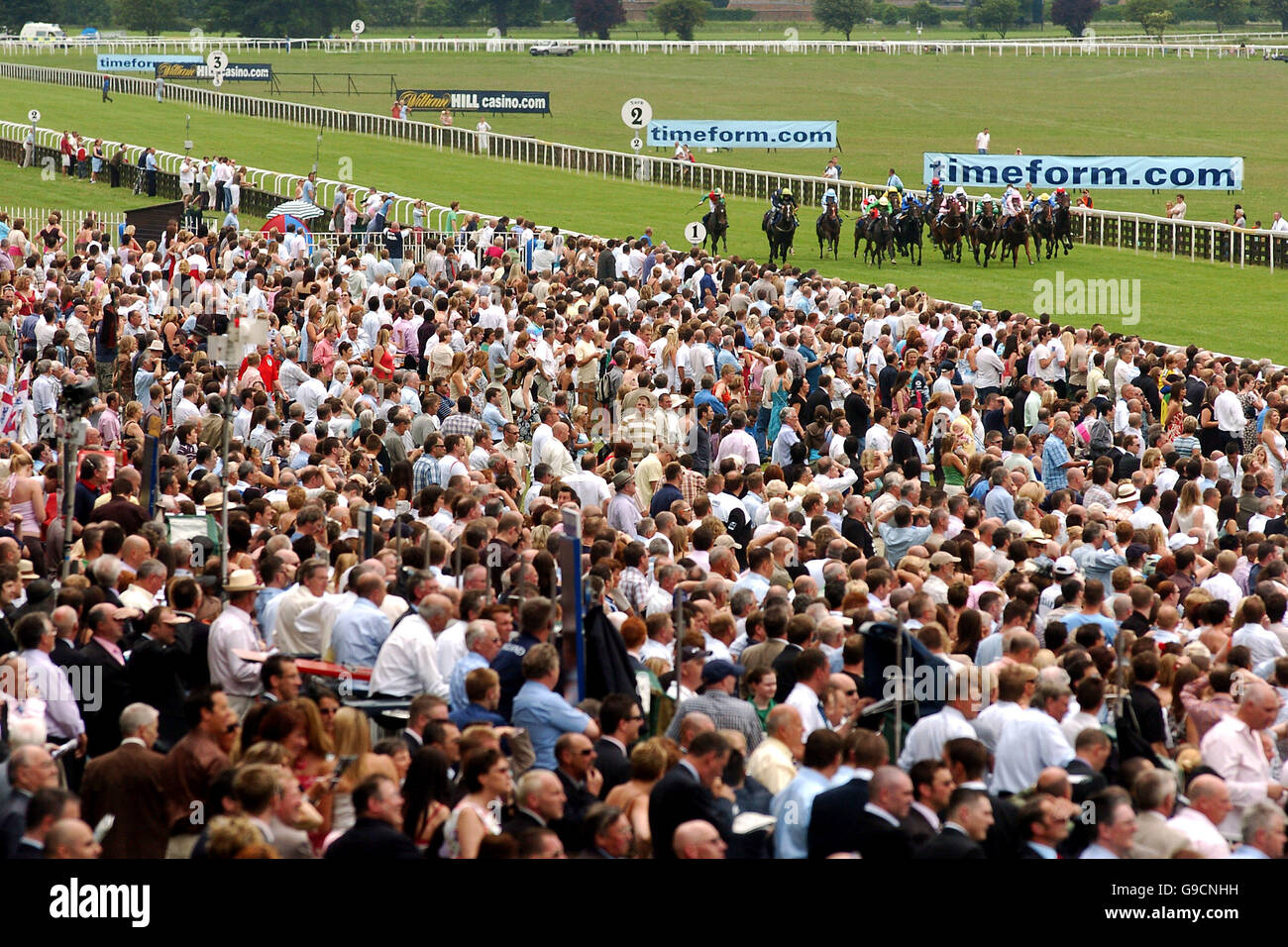 Horse Racing - The 36th Timeform Charity Day - York Racecourse. The crowd watches the final furlong of the William Hill Trophy Stock Photo