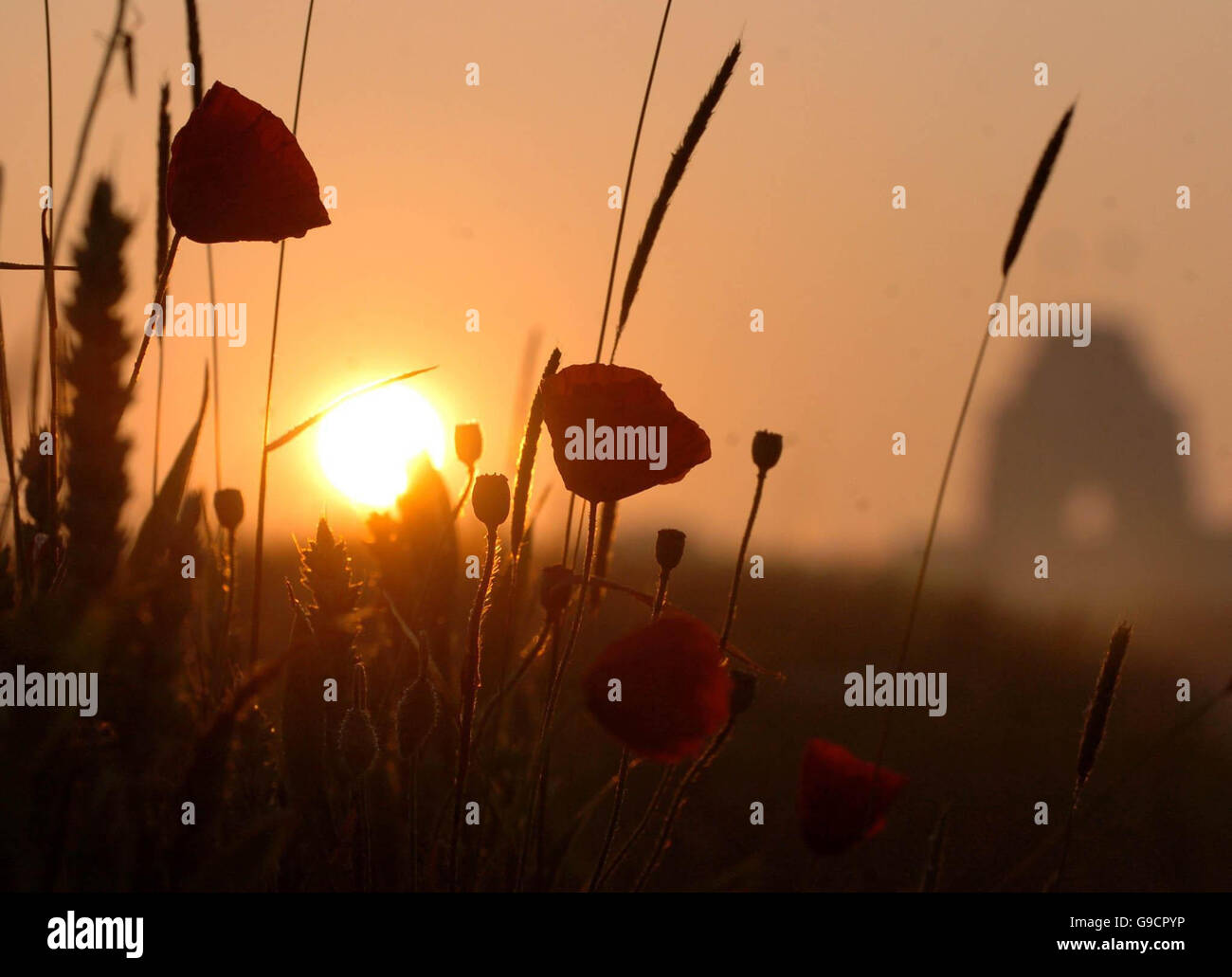 Battle of the Somme 90th anniversary Stock Photo