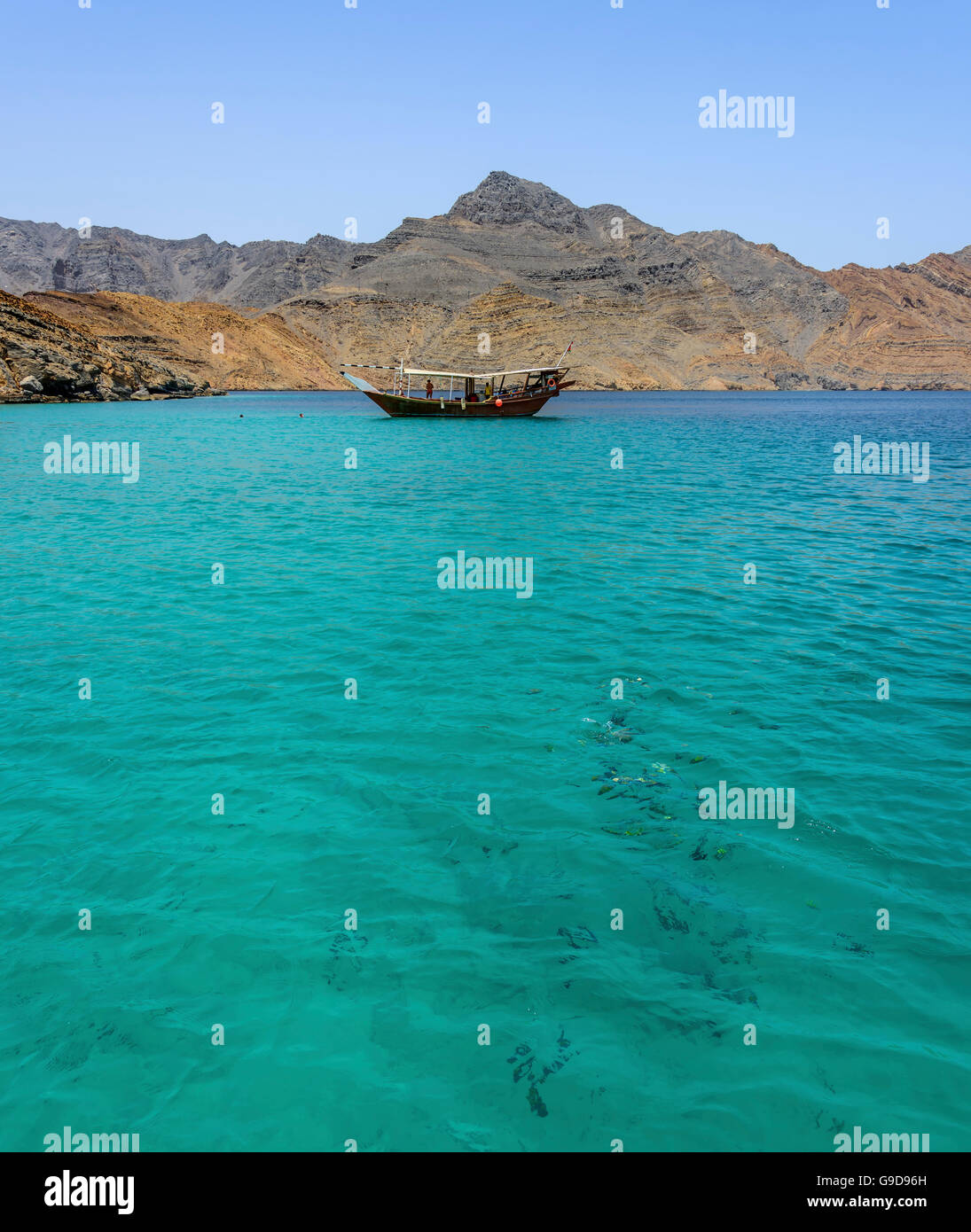 Traditional Arabic Dhows with tourists and fishes in th wild fjord of Musandam peninsula, Sultanate of Oman Stock Photo