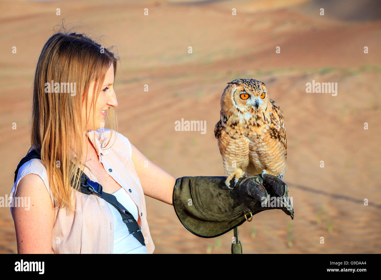 Desert Eagle Owl sits on a young woman's hand at Dubai Desert Conservation Reserve, UAE Stock Photo
