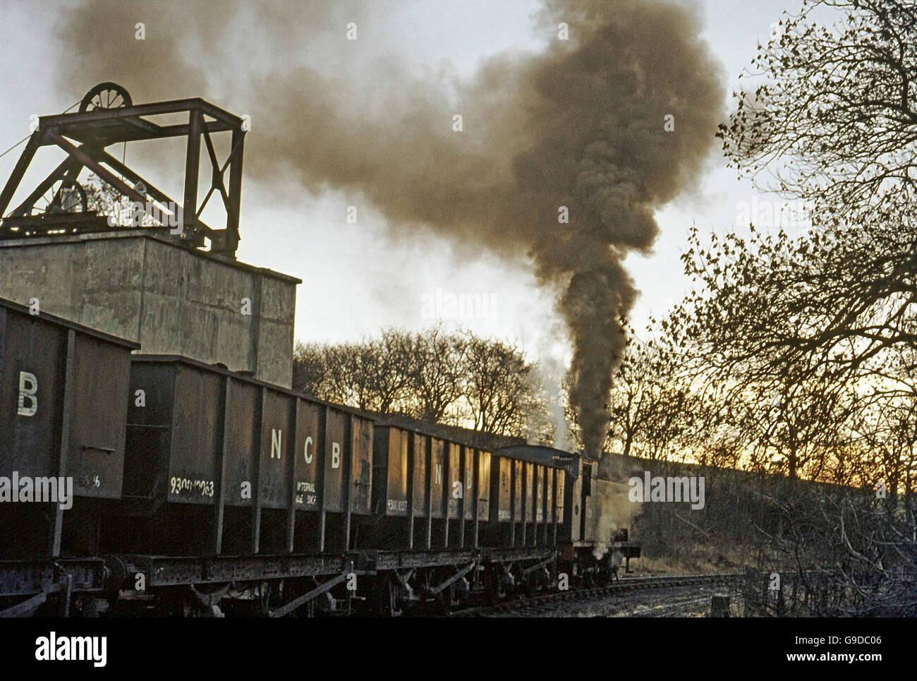 This last surviving 18in 0-6-0T, built by Robert Stephenson and Hawthorns in 1950 and numbered 31. Stock Photo