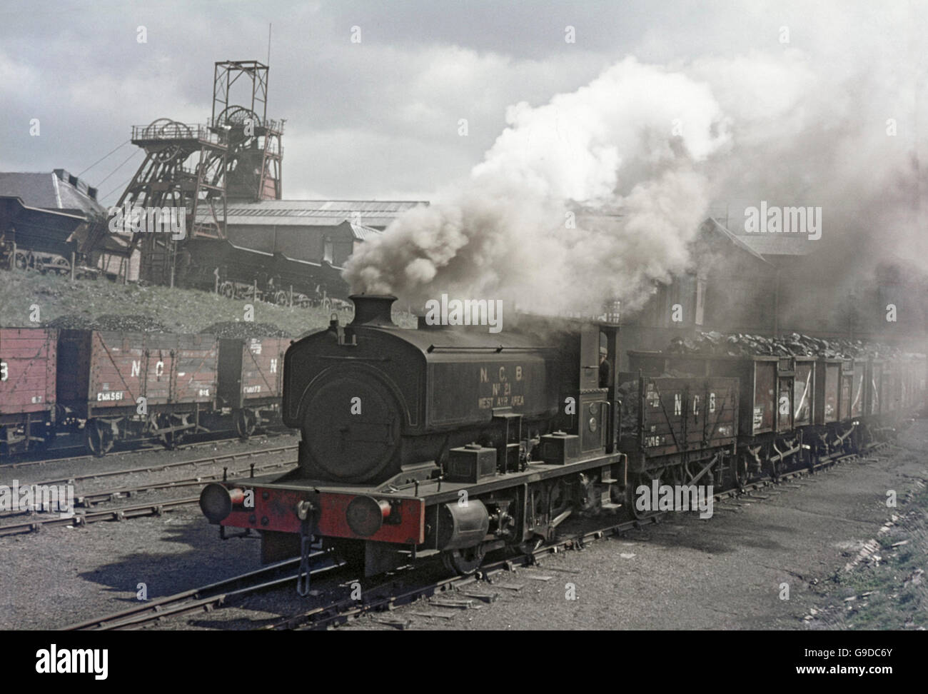 An 18in 0-6-0T of 1913 nicknamed The Big Yin. Stock Photo