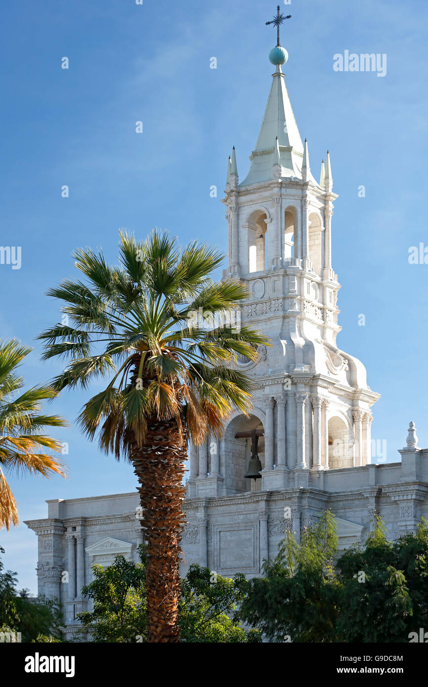 Bell tower, Arequipa Cathedral, and palm tree, Plaza de Armas, Arequipa, Peru Stock Photo