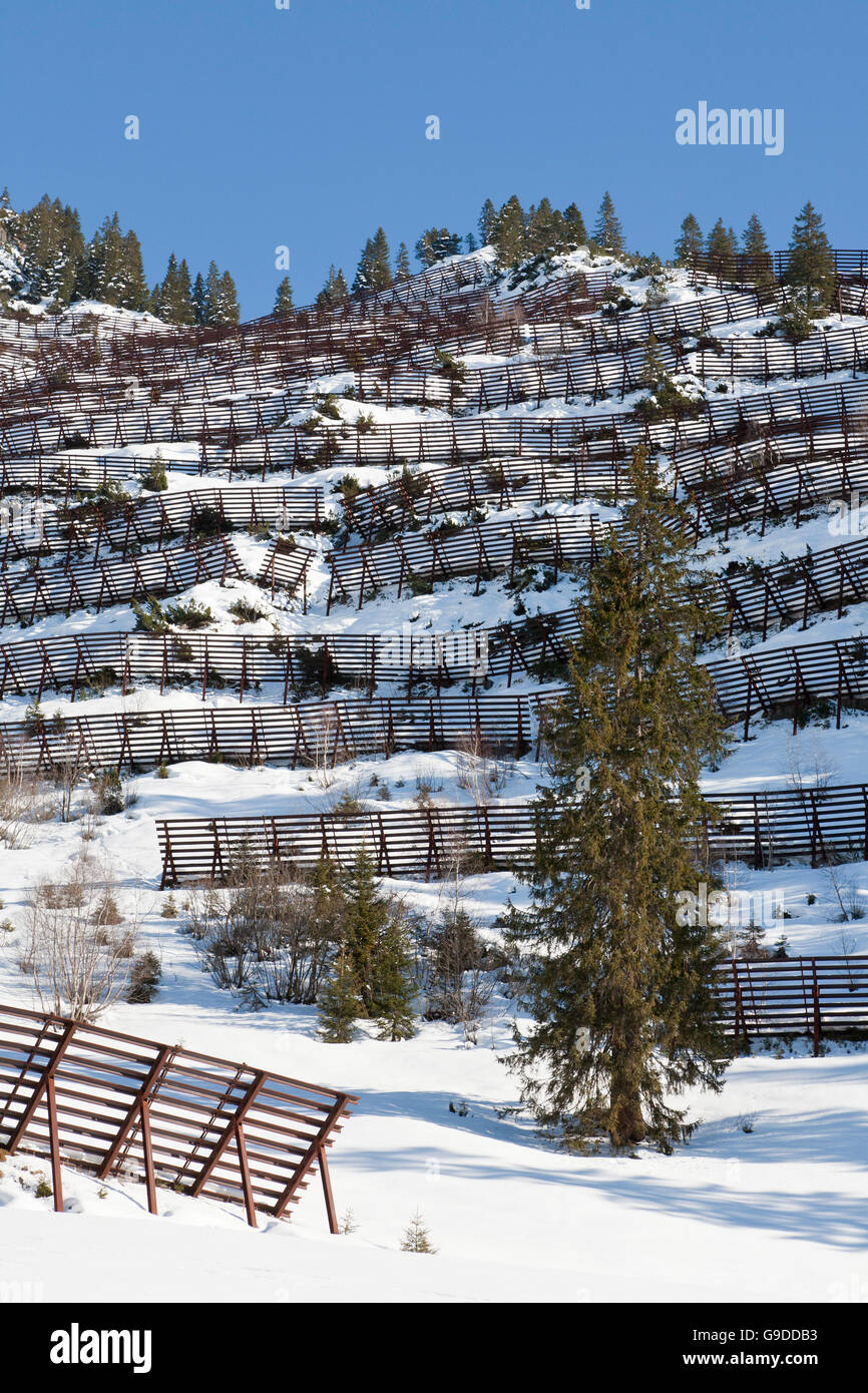 Avalanche barrier, precaution, near Schroecken, Vorarlberg, Austria, Europe Stock Photo