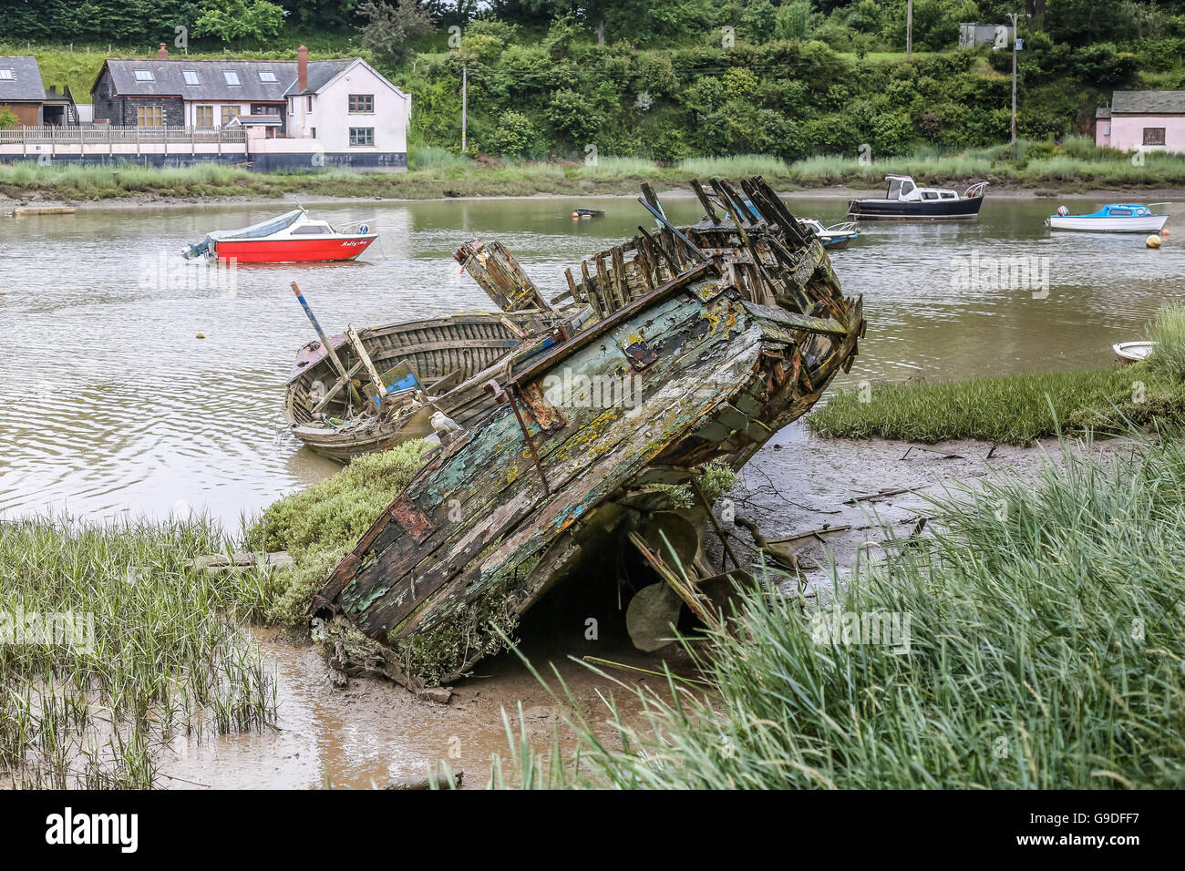 The hulk of an old timber ship lying on a coastal estuary. The vessel is rotting and covered in lichen and weeds Stock Photo