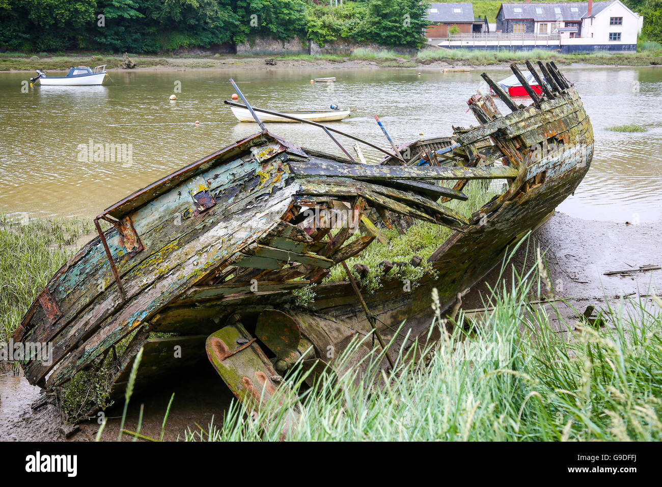 The hulk of an old timber ship lying on a coastal estuary. The vessel is rotting and covered in lichen and weeds Stock Photo