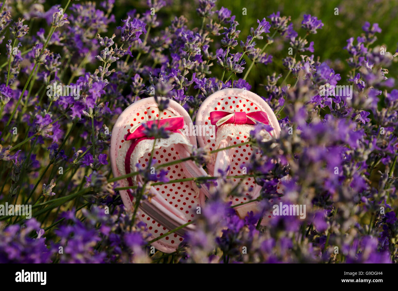 lavender baby shoes