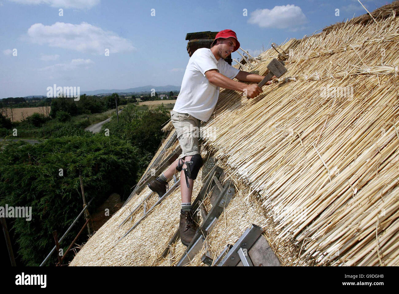 Joe Thornton of Evesham based Robin Barnard & Son does the butting up process of a thatch roof on an old farm labourers cottage in Worcestershire built in 1760. Stock Photo