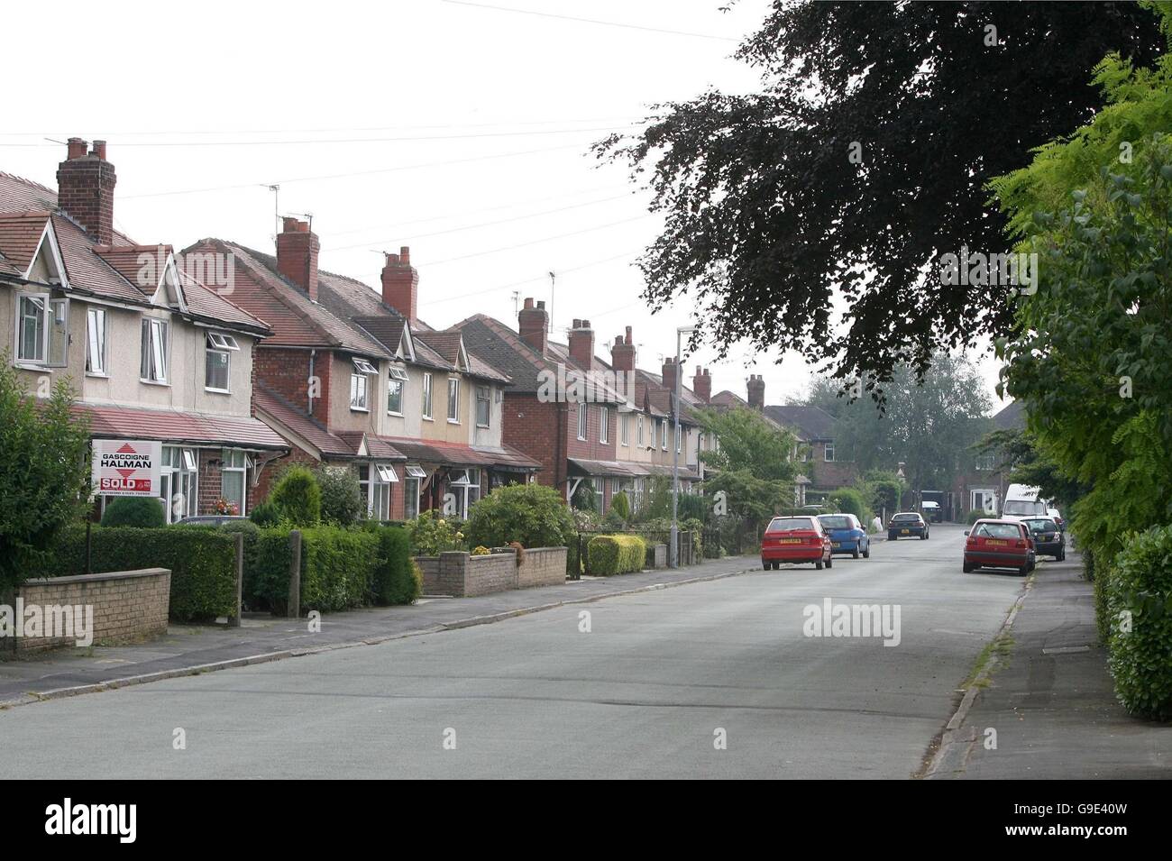 Acacia Avenue best street to live on in the uk Stock Photo Alamy