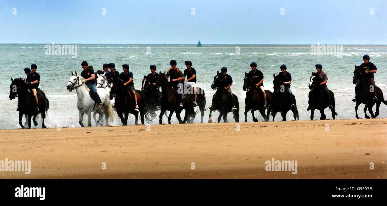 Britain's most famous military horses enjoy a seaside holiday in Norfolk. Stock Photo
