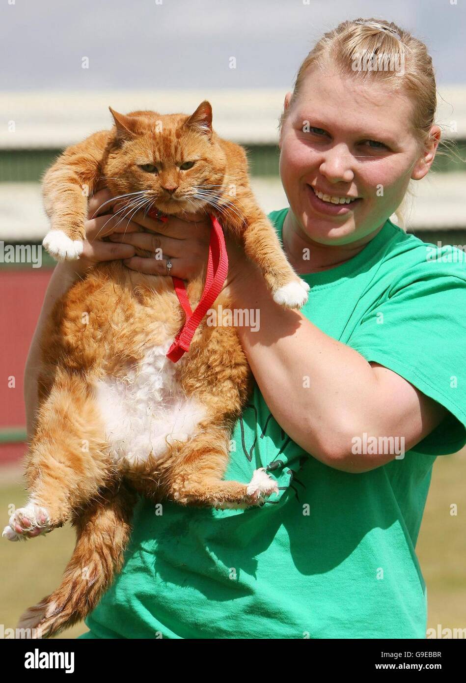 Holds garfield hires stock photography and images Alamy