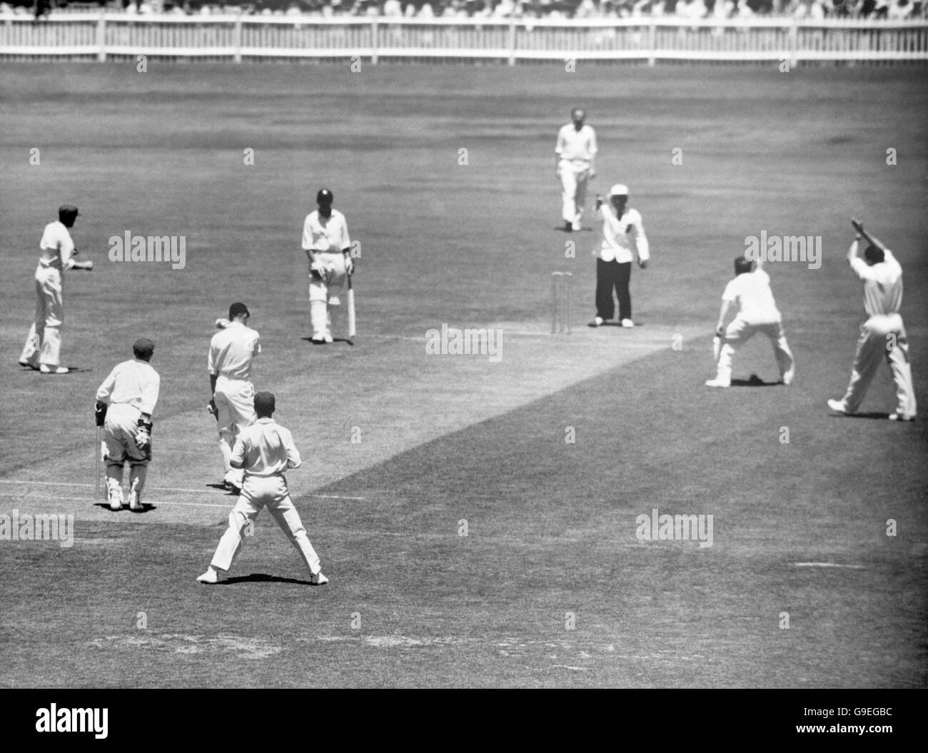 England's Peter May (third l) is caught behind by New South Wales wicketkeeper Oswald Lambert (second l) off the bowling of John Treanor (second r) Stock Photo