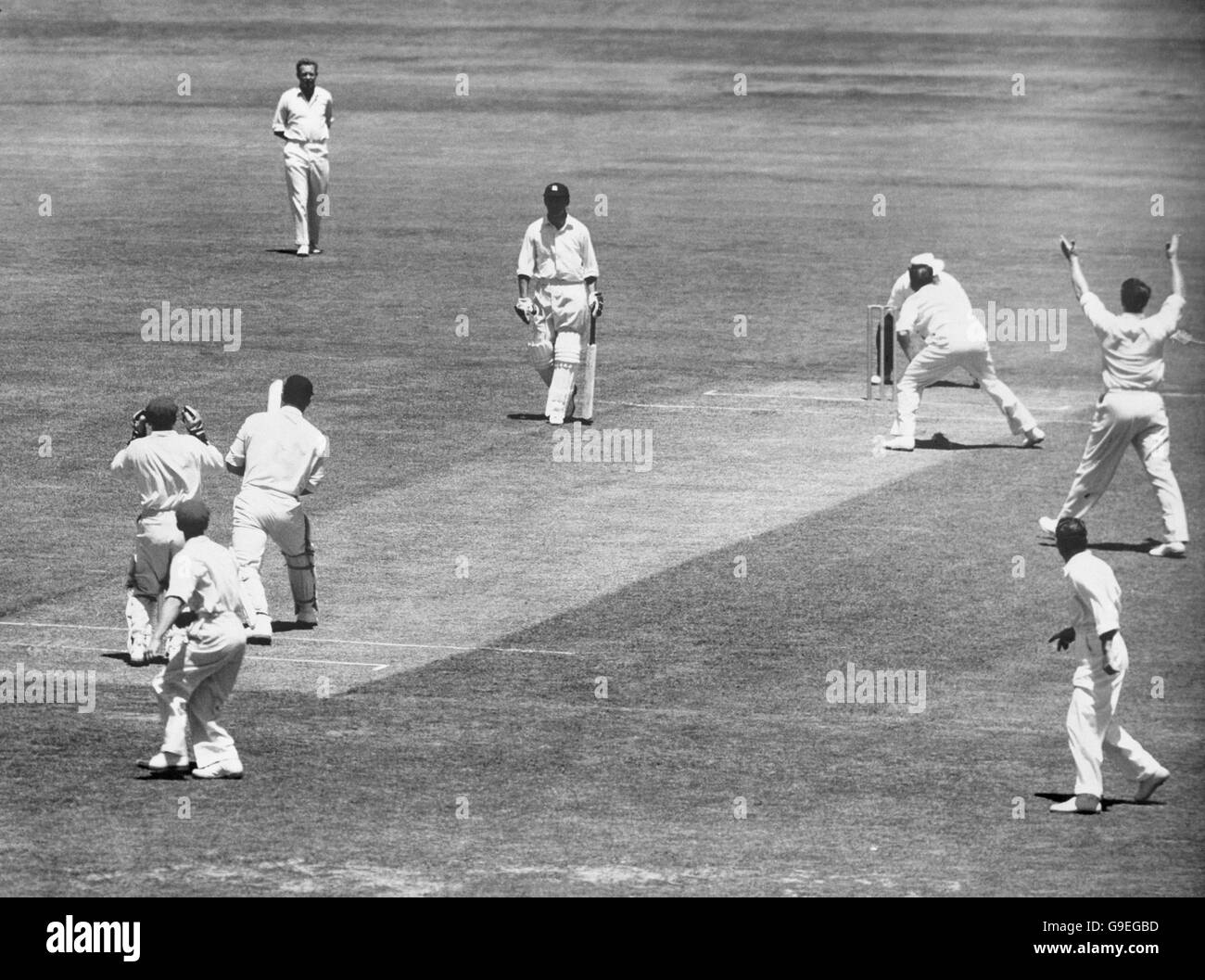 England's Peter May (third l) is caught behind by New South Wales wicketkeeper Oswald Lambert (l) off the bowling of John Treanor (third r) Stock Photo