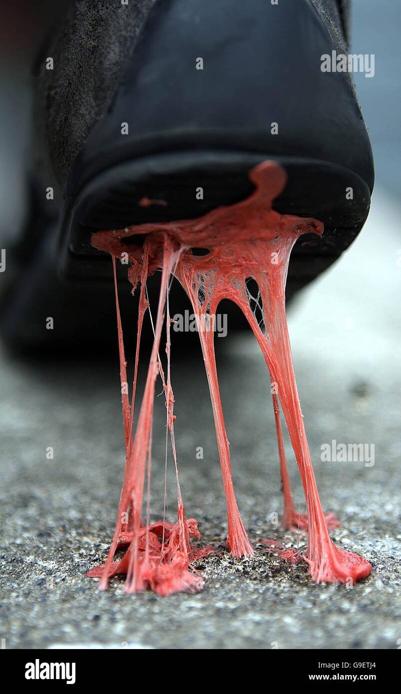 Chewing gum stuck to a shoe in Dublin Stock Photo Alamy