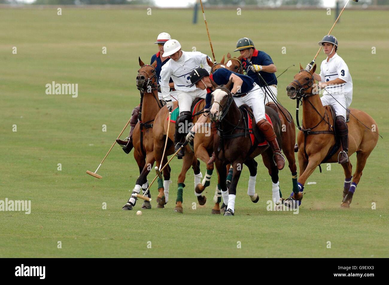 Boy's Royal Touchdown Kid Polo