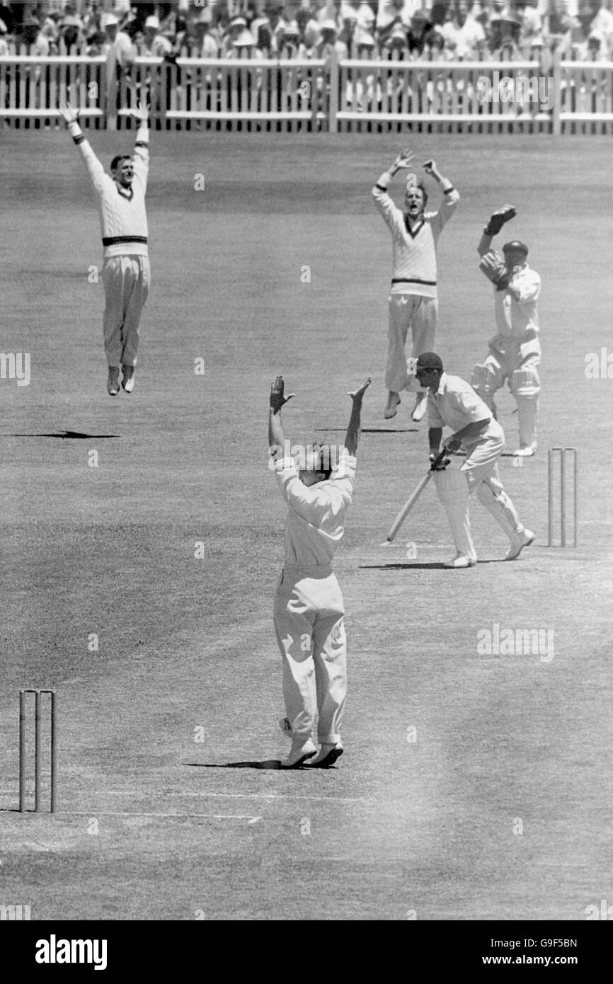 Cricket The Ashes Second Test Australia v England Sydney