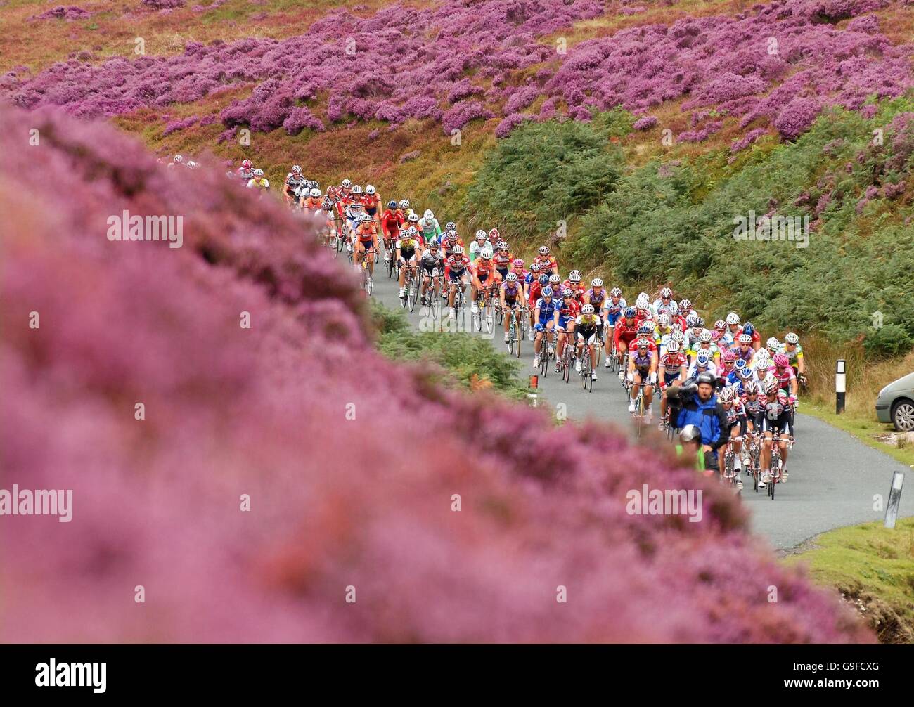 Cycling - Tour of Britain - Day. The moors are ablaze with purple heather as riders in the Tour of Britain Cycle Race climb through the Trough of Bowland near Preston today. Stock Photo