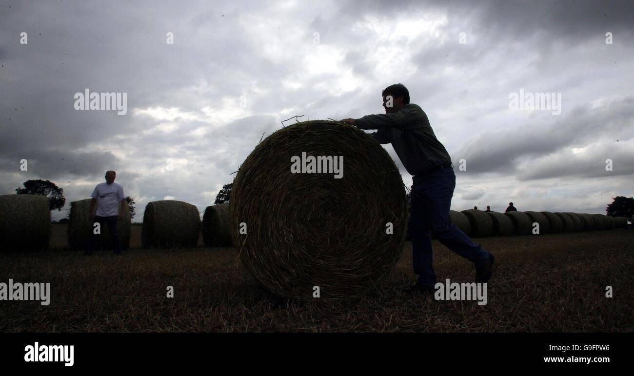 Peter Boardman takes part in the first annual straw bale rolling competition at Applejacks farm Appleton near Warrington. Stock Photo