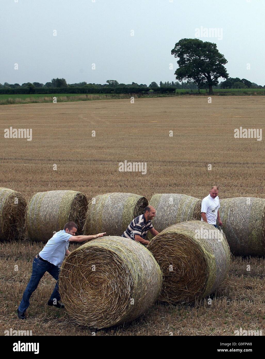 First straw bale rolling competition Stock Photo