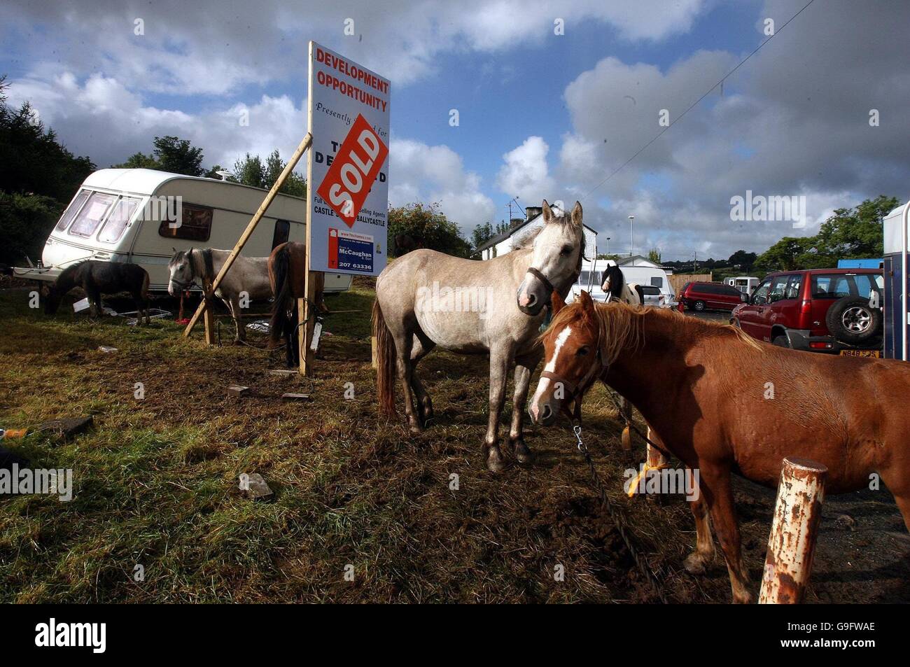 Horses for sale at the Auld Lamas fair in Ballycastle, Co Antrim. Stock Photo