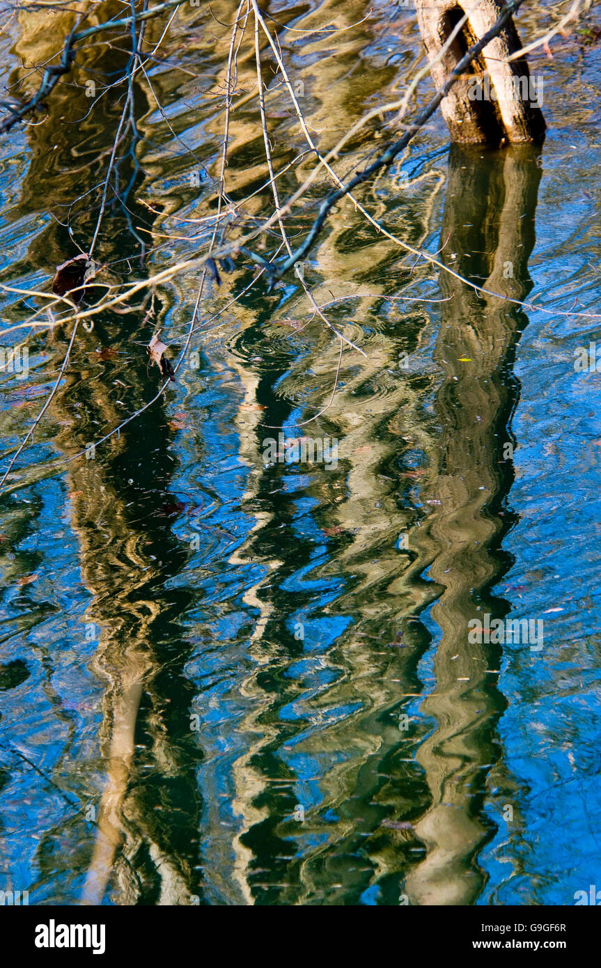 Reflections of trees in the C&O Canal Stock Photo - Alamy
