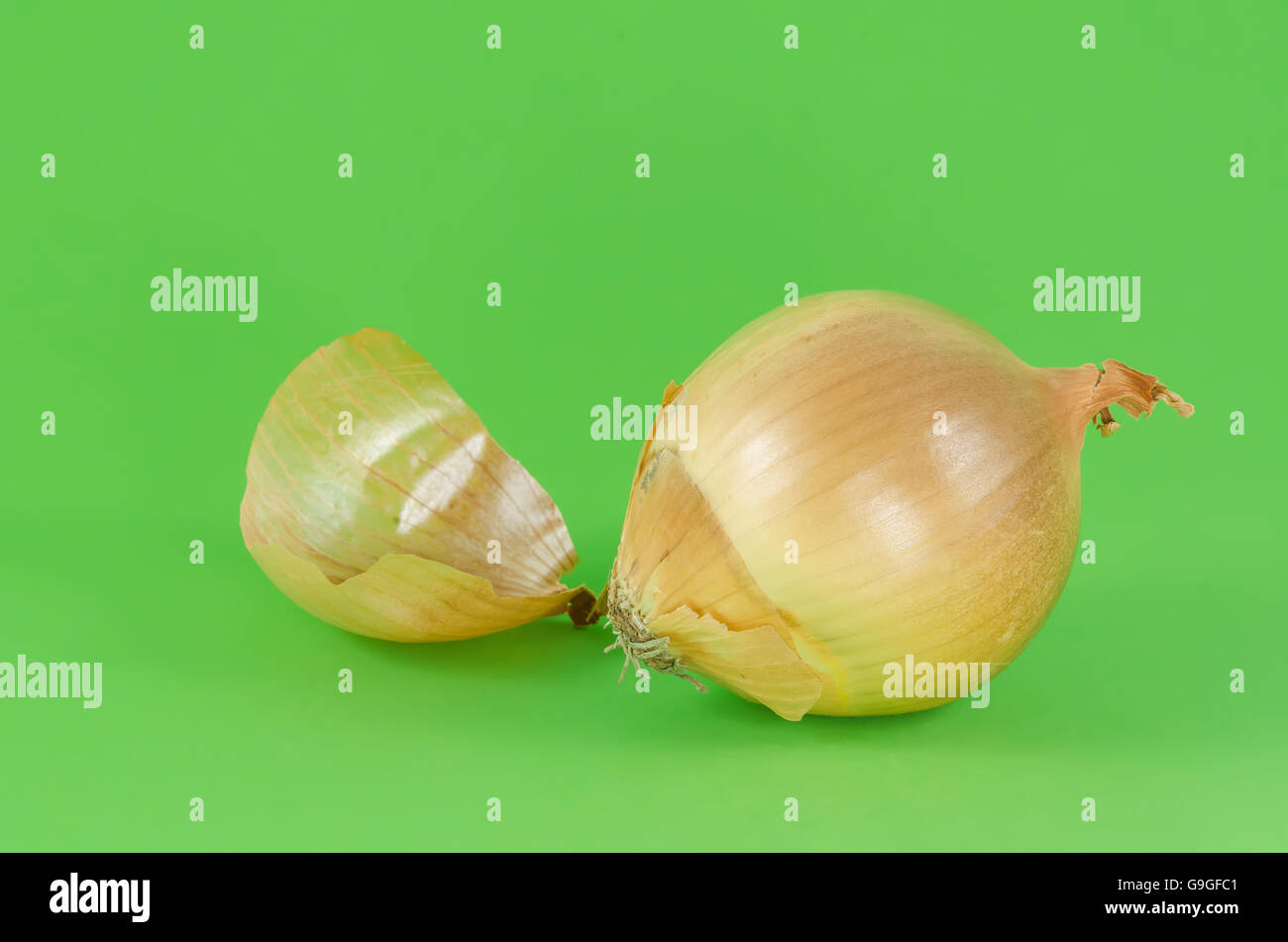 Ripe unpeeled onion on green background close up Stock Photo