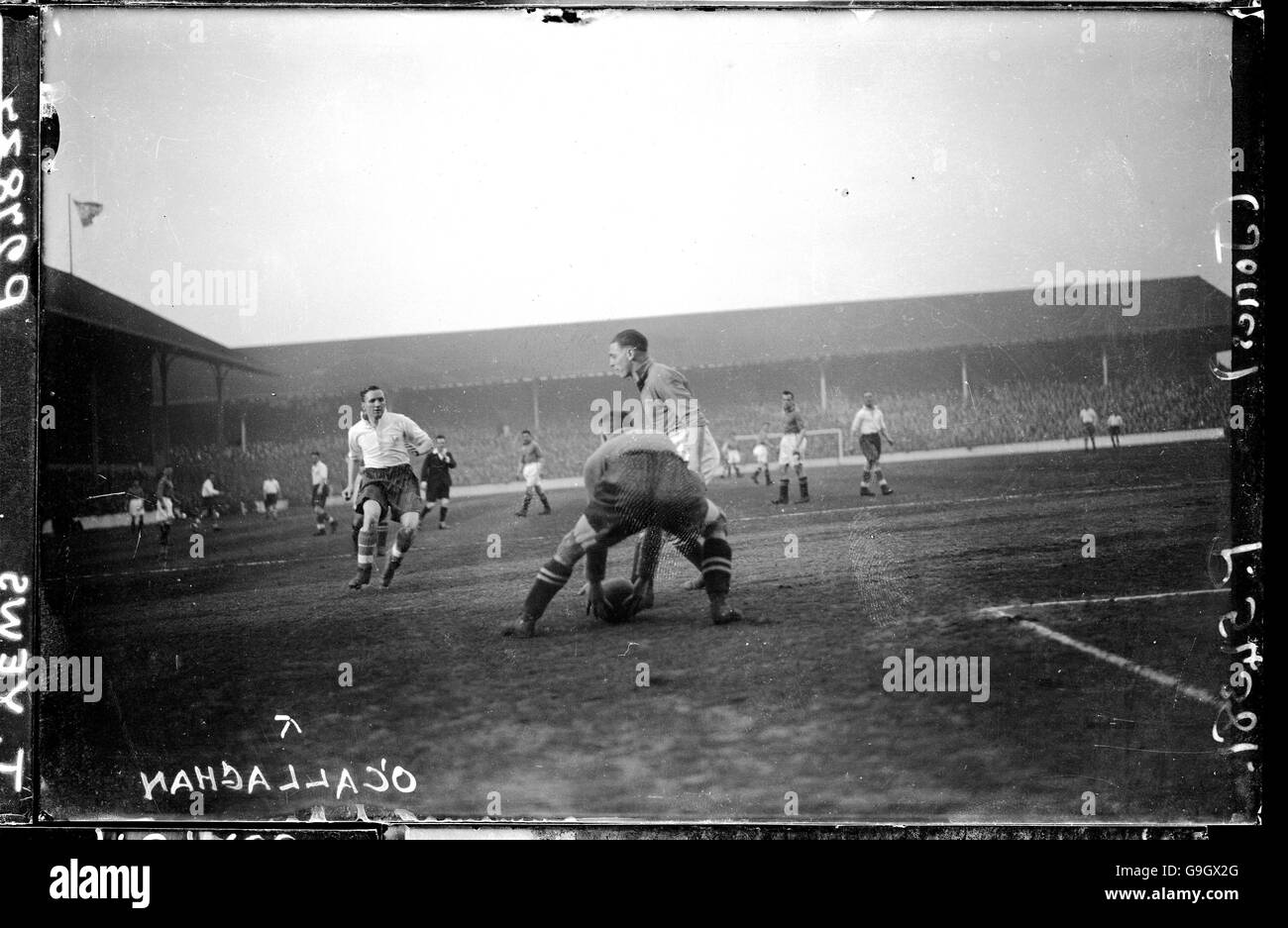 Eugene taffy ocallaghan hires stock photography and images Alamy