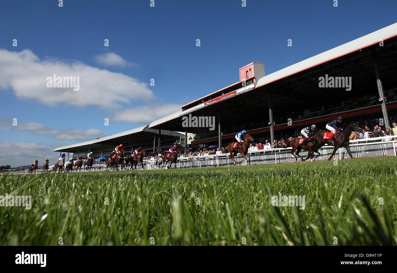 Racing - Curragh Stock Photo - Alamy