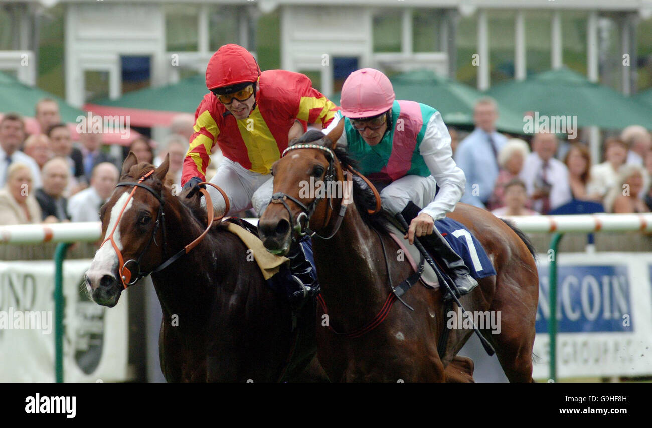 Racing Newmarket Stock Photo Alamy