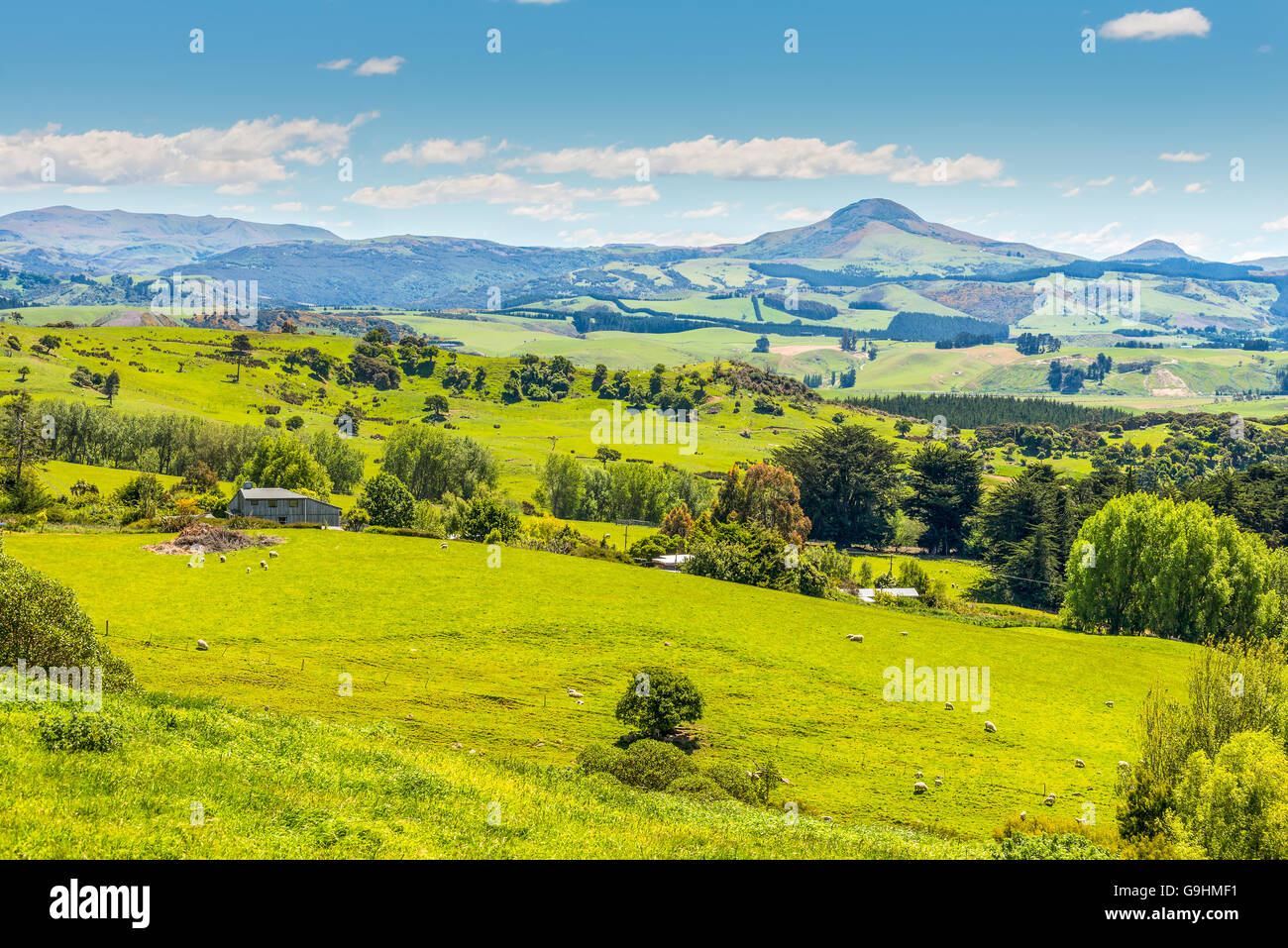 Hill view farm rural area, Otago region, New Zealand Stock Photo