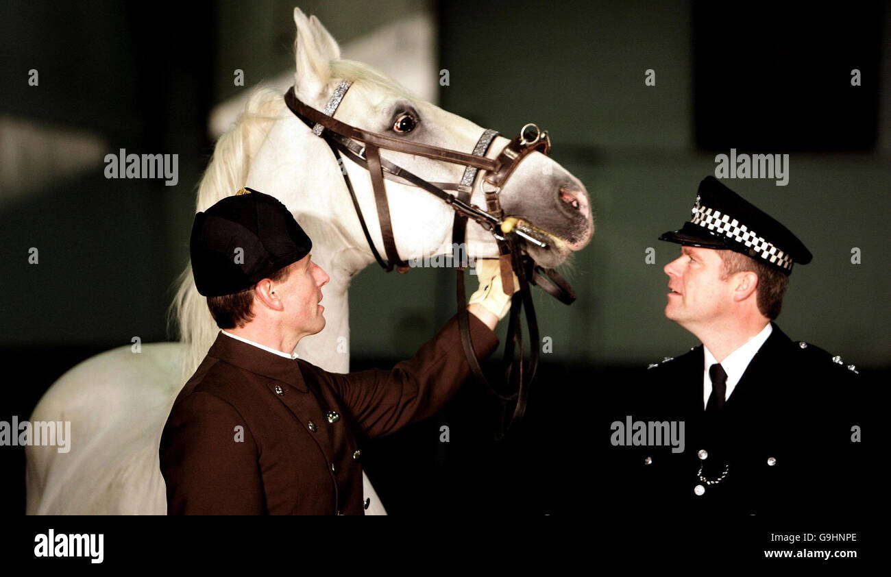 Spanish Riding School Of Vienna Photocall Stock Photo Alamy