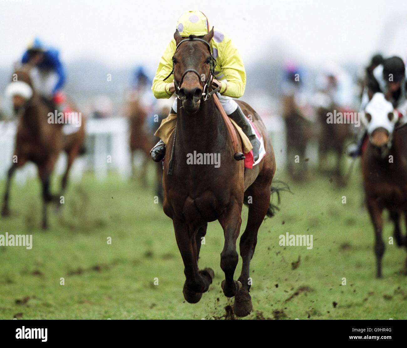 Horse Racing Doncaster Races The Lincoln Handicap Stock Photo Alamy