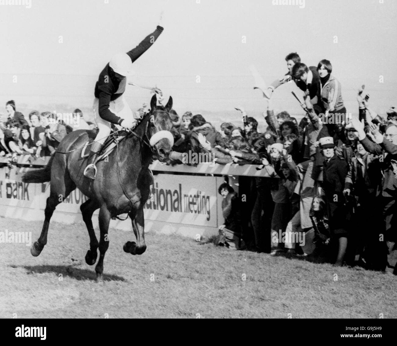 Horse Racing - 1977 Grand National - Aintree. Red Rum wins his third Grand National. Stock Photo