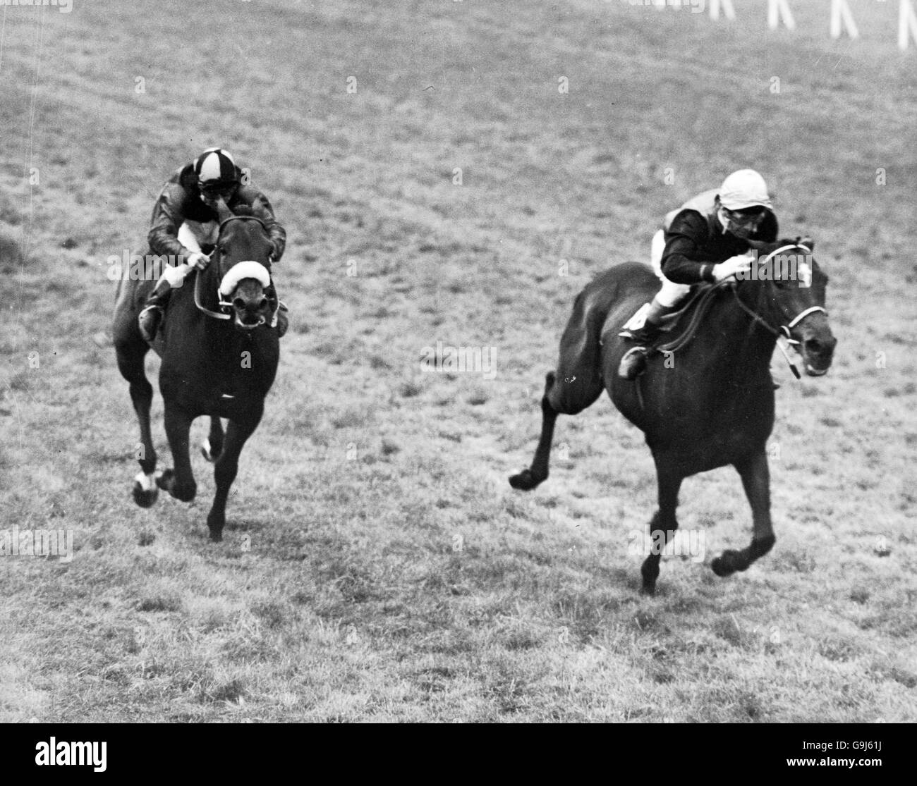 Horse Racing - Cesarewitch Stakes. Persian Lancer (r), ridden by D Smith, comes home to win Stock Photo